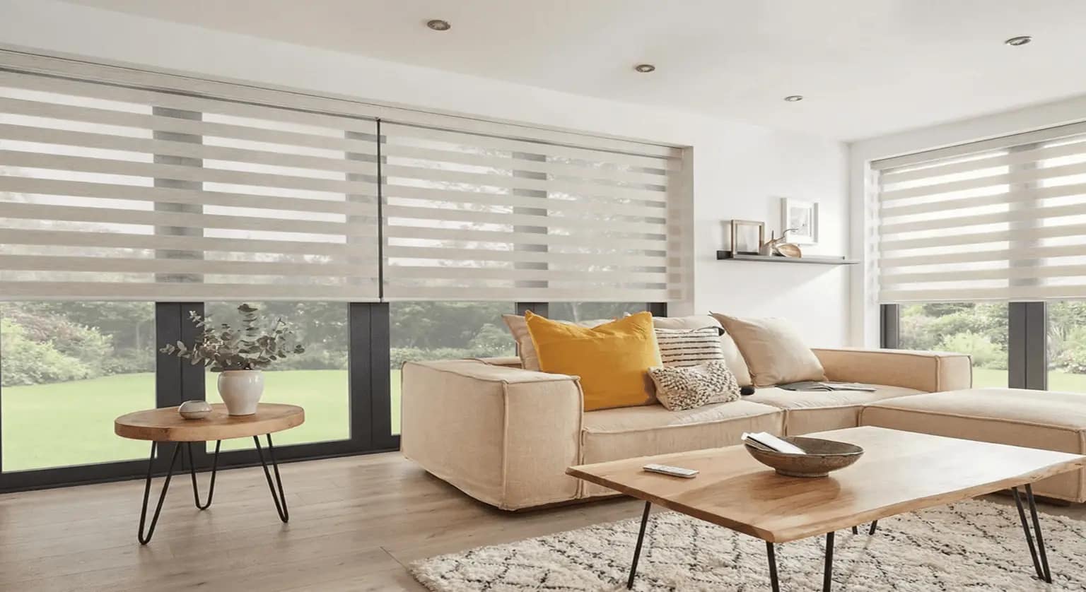 Vision Blinds