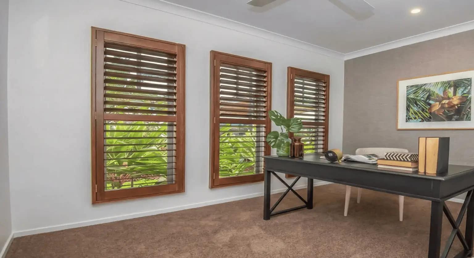 Window Shutters